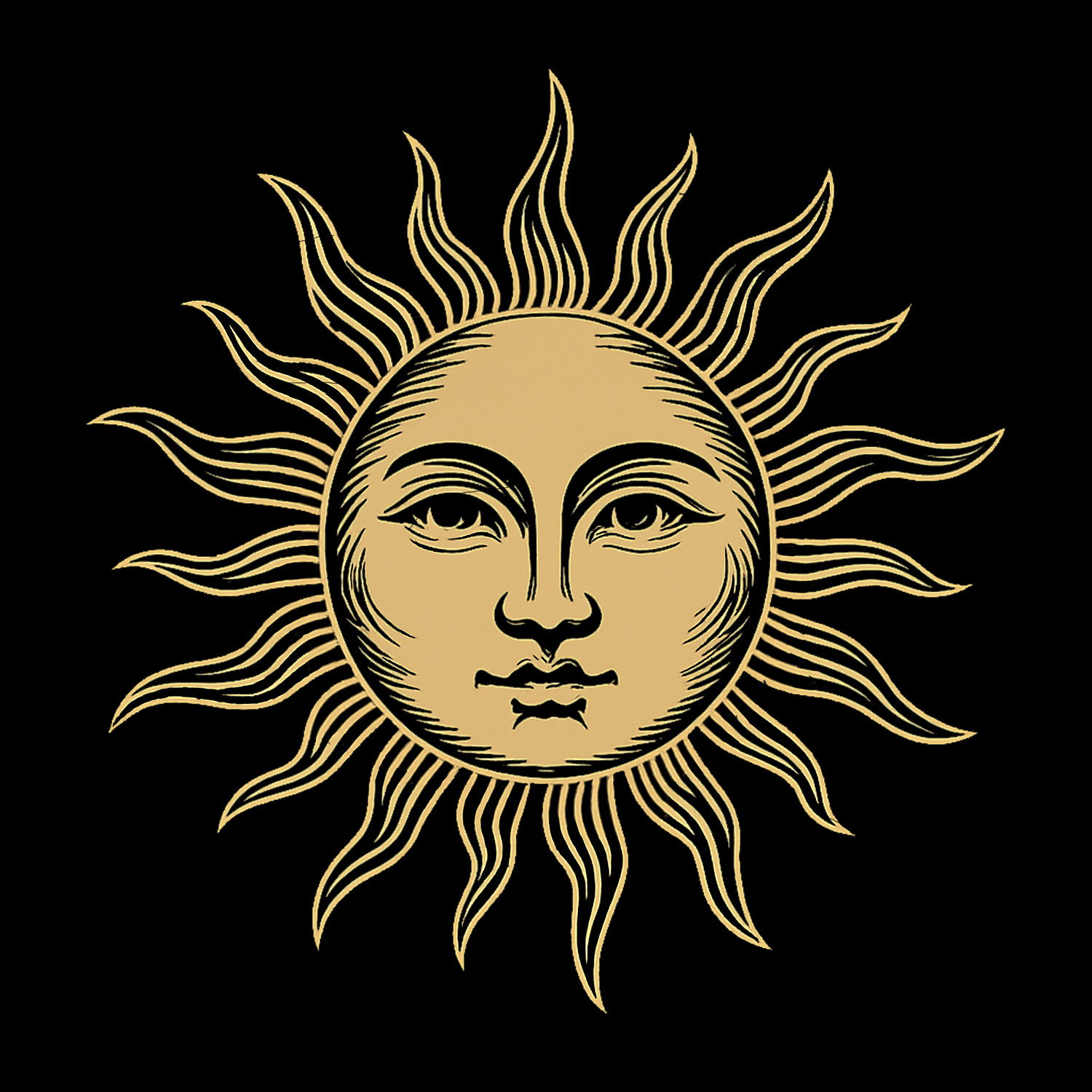 Where the Sun Leads You!